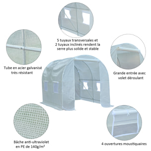 Serre de jardin tunnel surface sol 5 m² 2,5L x 2l x 2H m châssis tubulaire renforcé 18 mm 4 fenêtres blanc