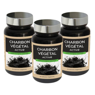 NUTRI EXPERT - Charbon végétal activé - Aide à détoxifier et assainir l'organisme - Apaise les sensations de ballonnements et flatulences - Vegan - Extraits de plantes - Lot de 3 produits