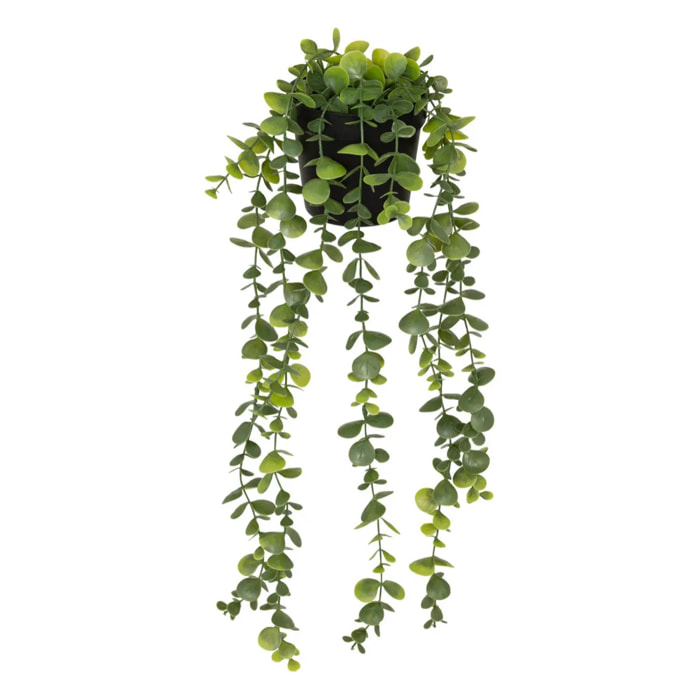 Eucalyptus artificiel en pot "Merly" vert H51cm