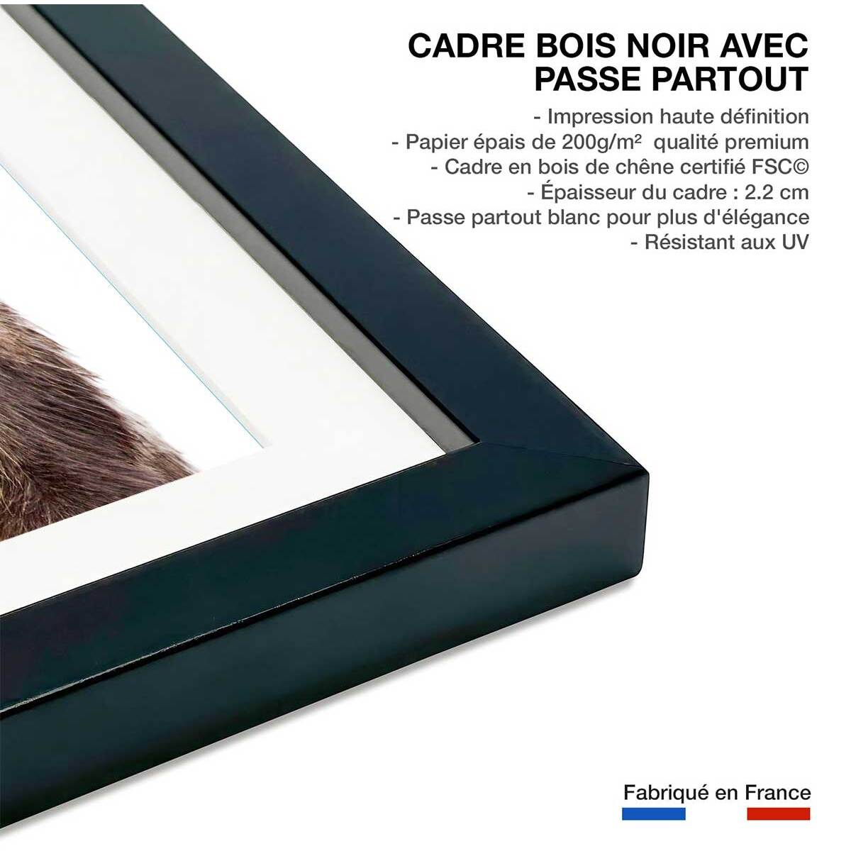 Affiche enfant bébé ours  Affiche + cadre en bois - Noir