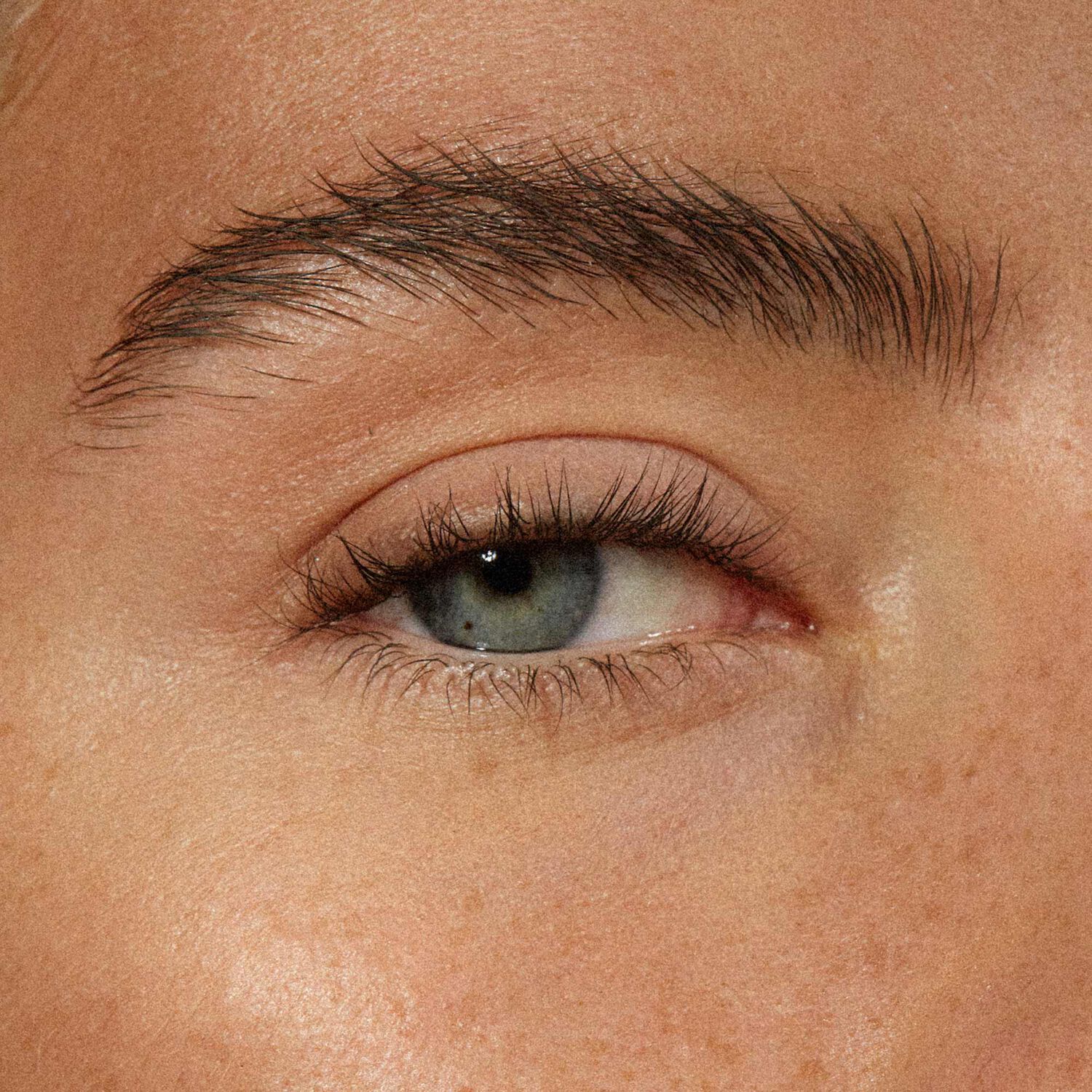 The Brow Pencil - Crayon à Sourcils Tenue Longue Durée