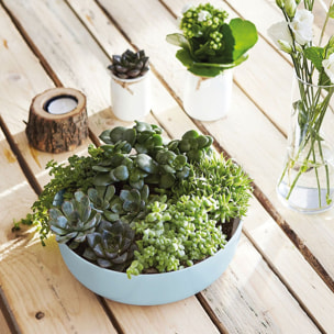 Saladier 22cm Diwali Paradise Blue - Luminarc