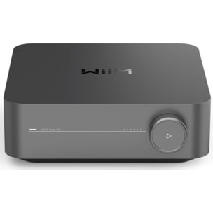 Amplificateur HiFi WIIM amp pro