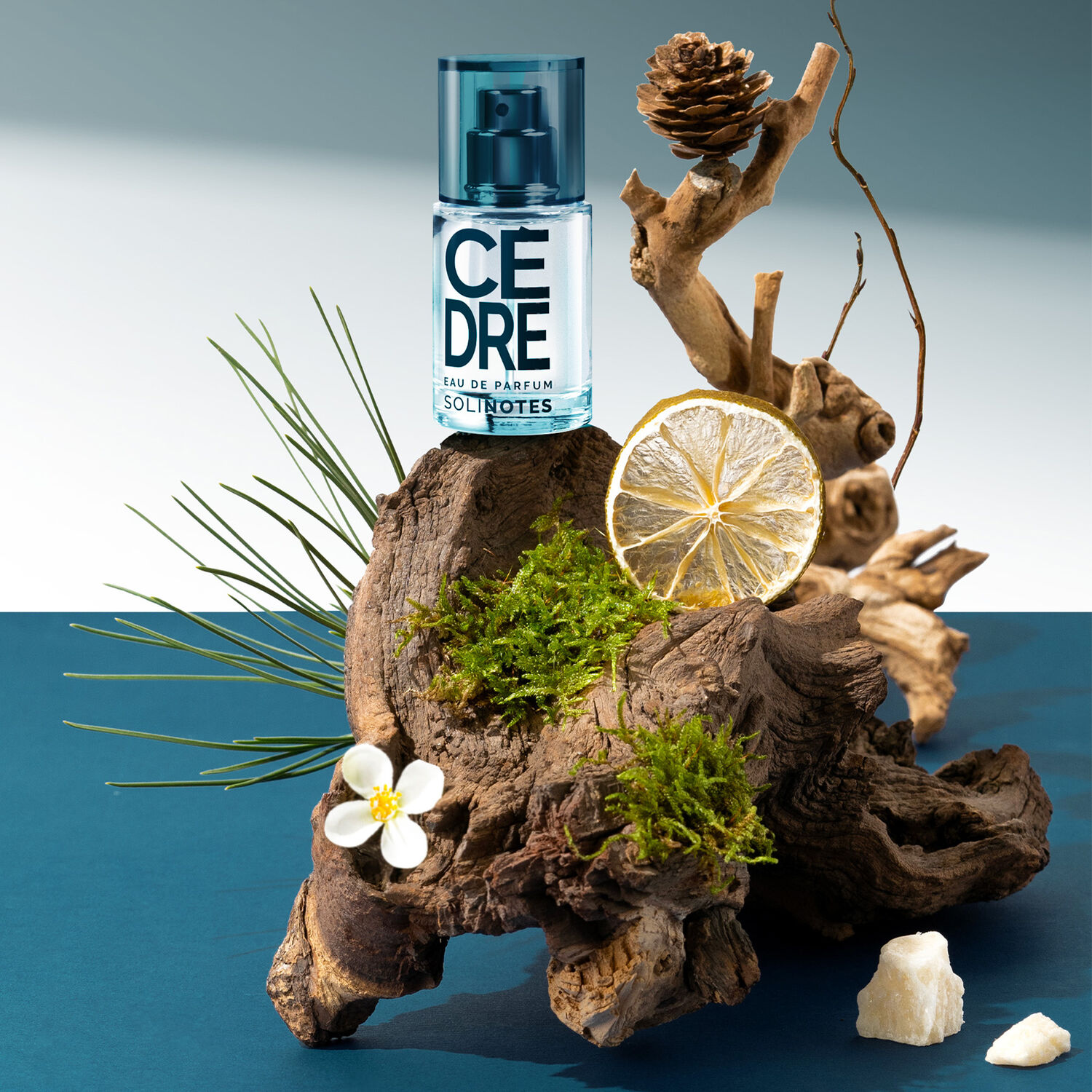 Cèdre - Eau de Parfum