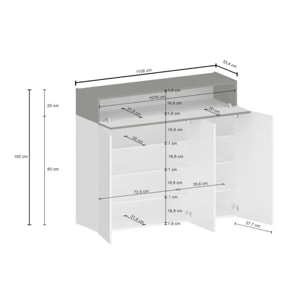 Scarpiera Griselda, Porta scarpe salvaspazio a 4 ante, Armadio multifunzione da ingresso, 114x38h100 cm, Bianco effetto larice