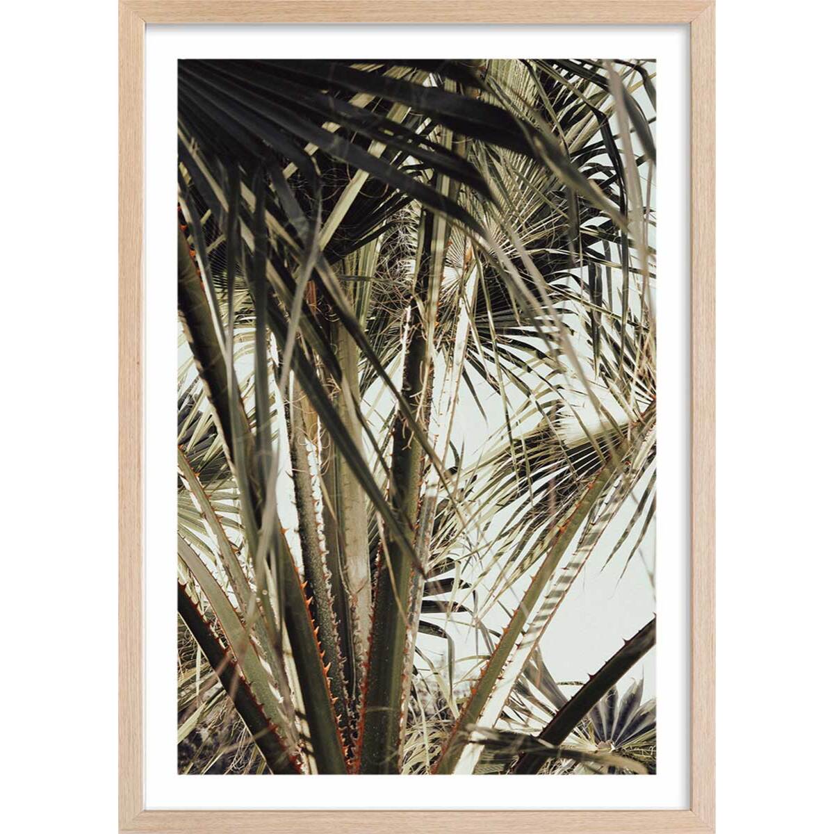 Poster cœur de palmier Affiche sous cadre bois