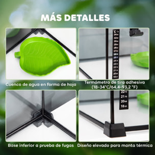 PawHut Terrario para Reptiles de Vidrio Templado con Termómetro, Cuenco de Agua, Vista Completa, Ventilación, Terrario para Lagartos, Ranas Cornudas, Serpientes, Arañas, 50x30x25 cm, Negro