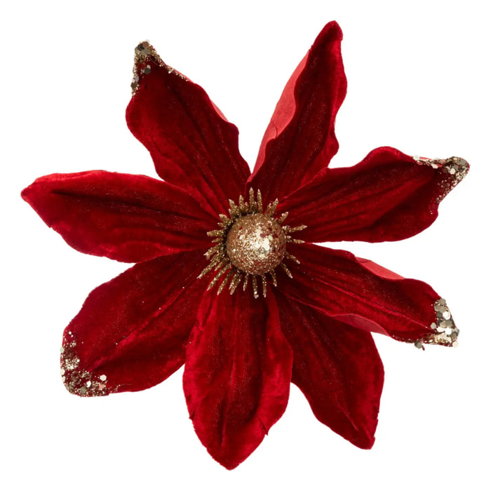 Sujet magnolia 22cm rouge