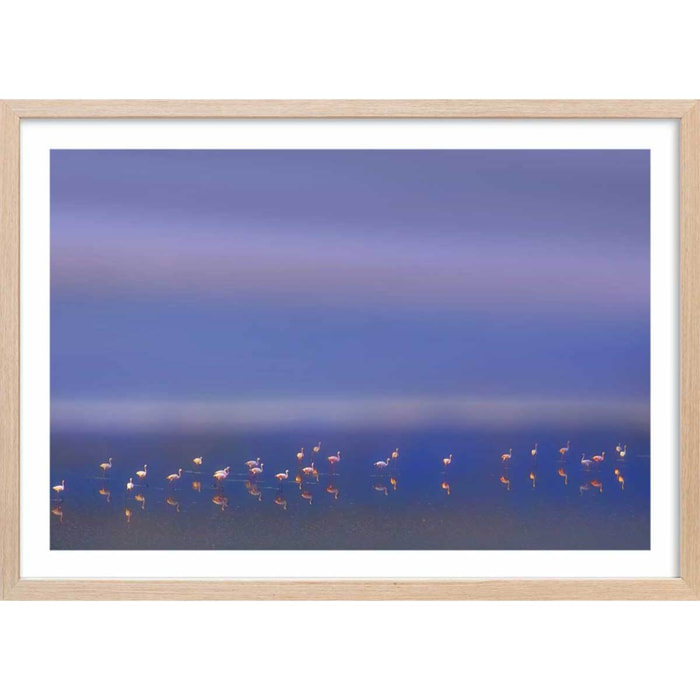 Affiche Flamants Tôt le matin Affiche + cadre en bois - Chêne
