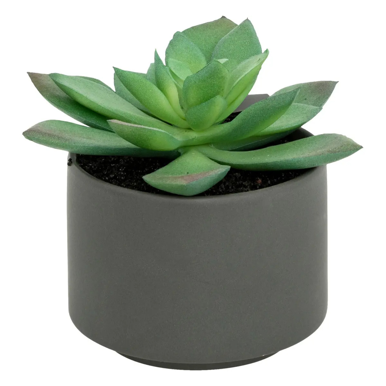 Plante grasse artificielle - pot en céramique - H13 cm