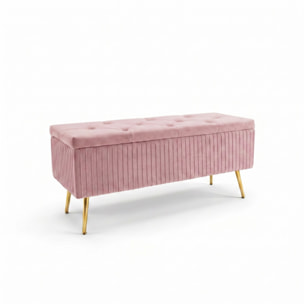 Panca Contenitore in Effetto Velluto a Coste con Ampio Vano Contenitore, Seduta Imbottita e Gambe in Acciaio, Design Moderno per Camera da Letto, Ingresso e Soggiorno
