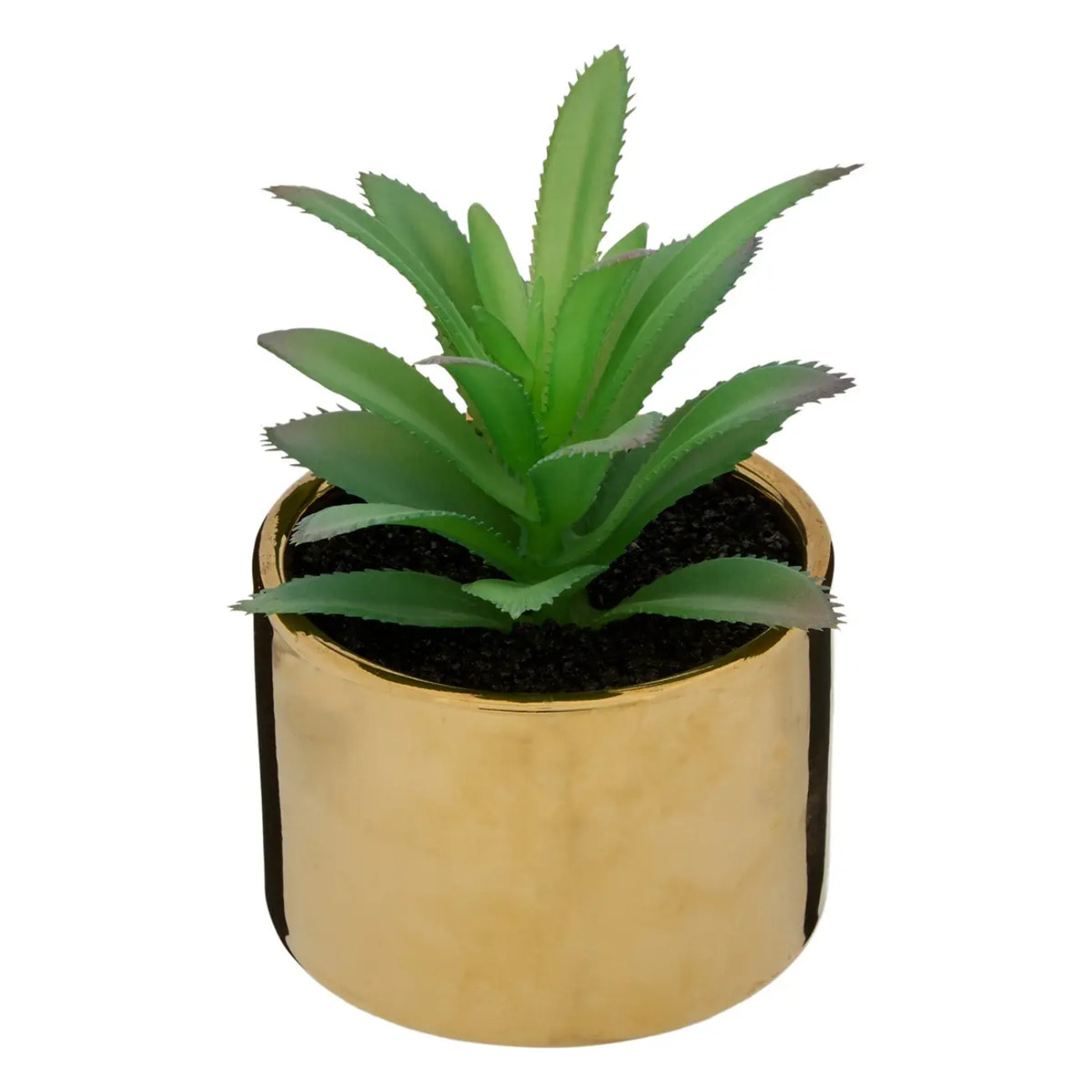 Plante verte pot céramique H.15