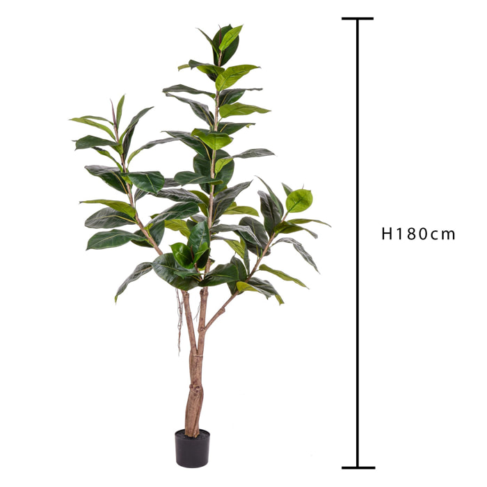 Ficus Rubber Con 65 Foglie. Altezza 180 Cm - Pezzi 1 - 35X180X35cm - Colore: Verde - Bianchi Dino - Piante Artificiali