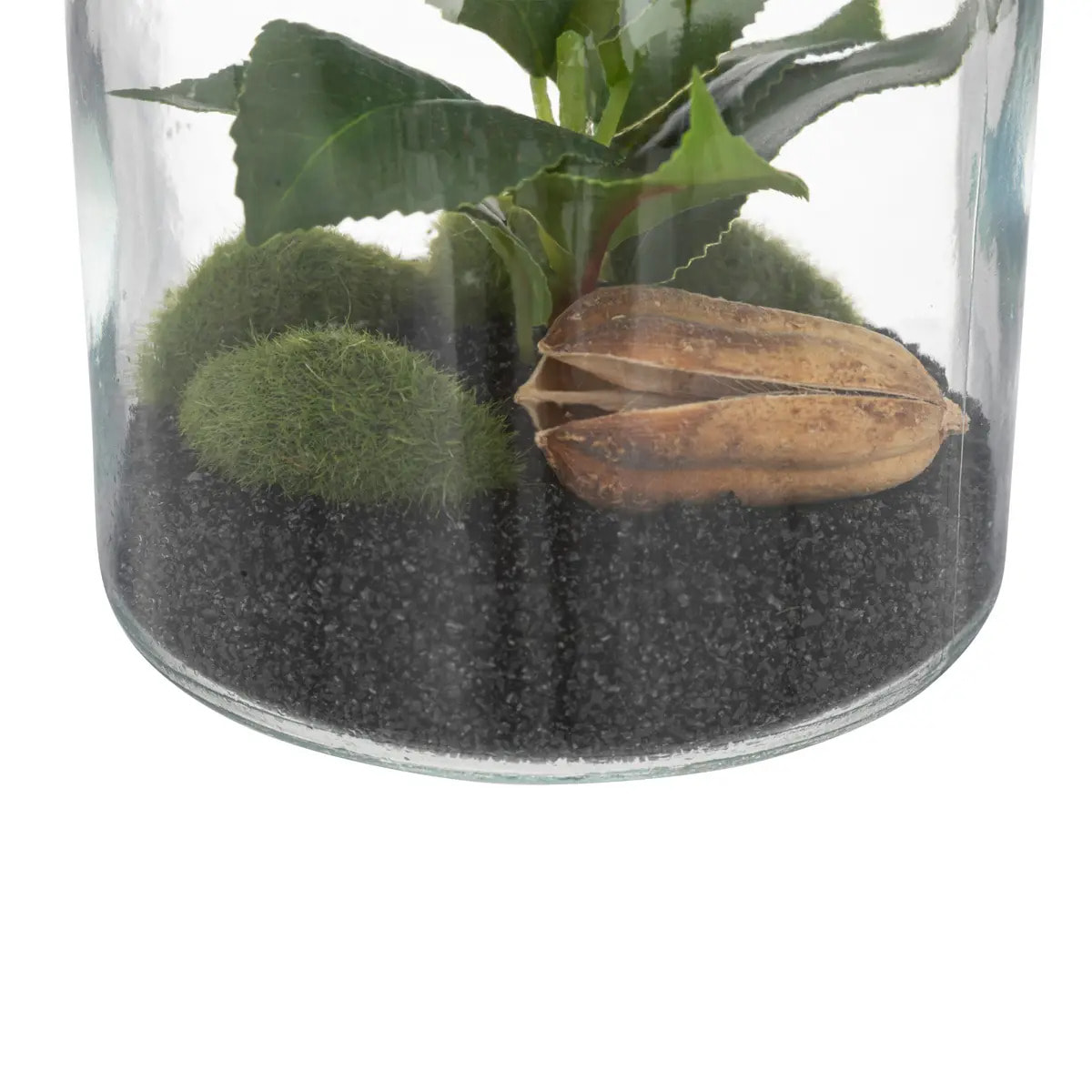 Terrarium "Bota" - verre - H19 - 5 cm