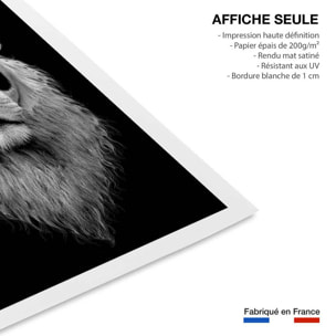 Affiche enfant le pandalion  Affiche seule