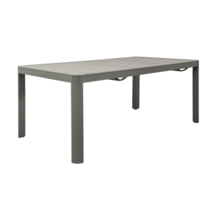 Table de jardin extensible aluminium 6-10 places LUNEA
