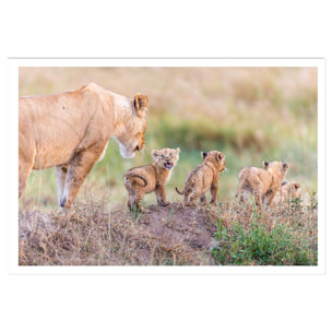 Affiche animaux let's go mom Affiche seule