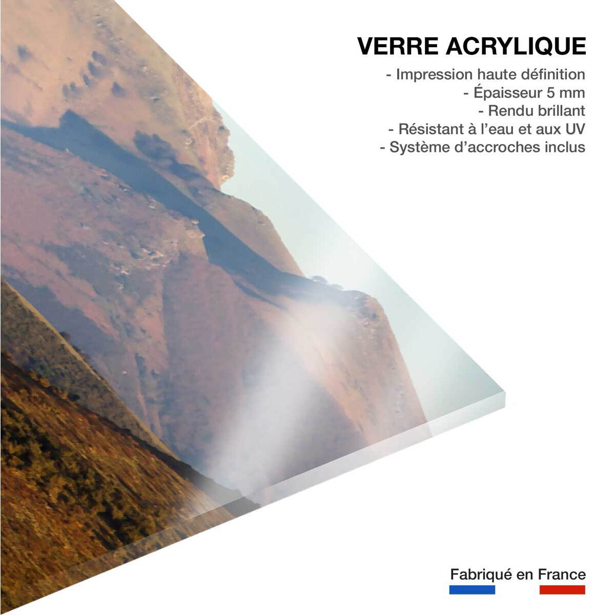 Tableau chevaux pottok  Tableau plexiglas