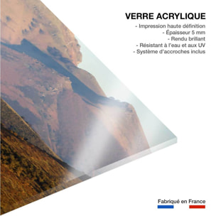 Tableau chevaux pottok  Tableau plexiglas