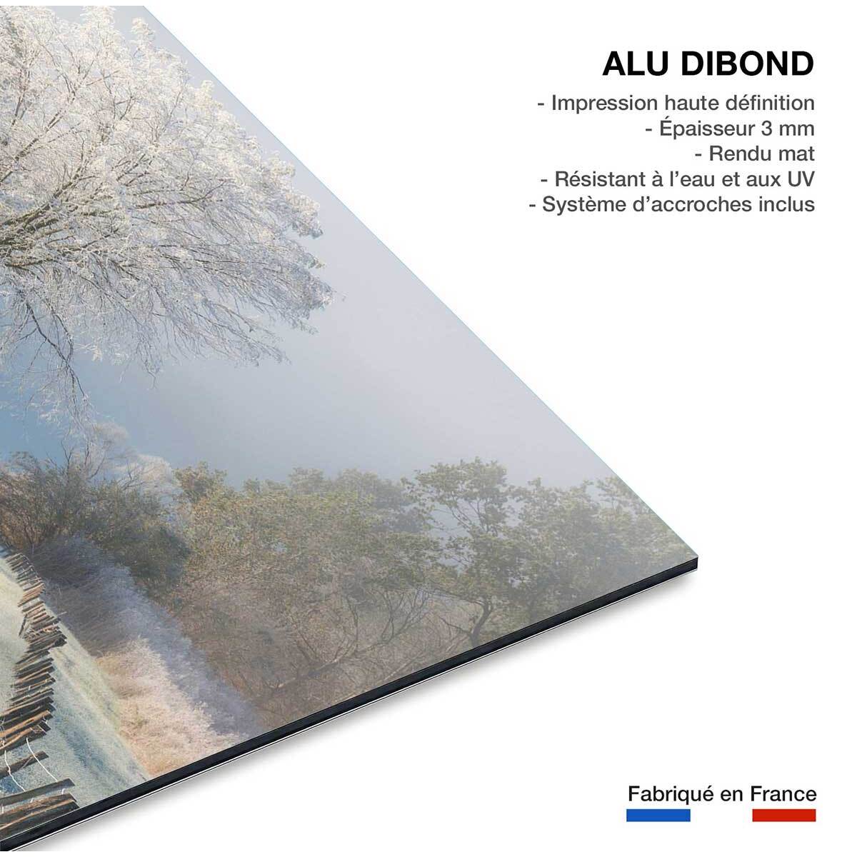 Tableau paysage Un matin glacial Tableau alu Dibond