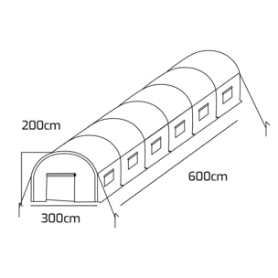 Serra da coltivazione 3x6 M giardino struttura tunnel in acciaio zincato 18mq 300x600x190cm