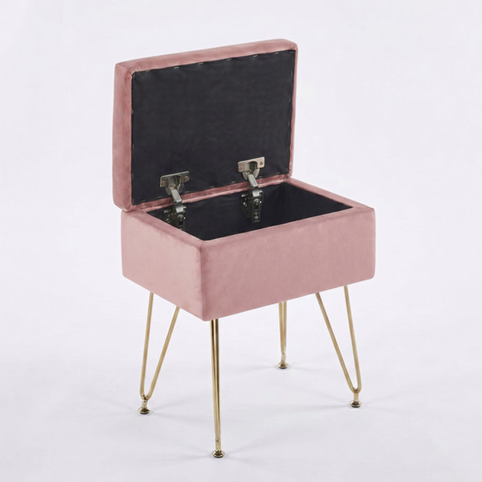 Panca Contenitore in Effetto Velluto con Seduta Imbottita e Vano Portaoggetti, Design Moderno con Gambe in Acciaio per Ingresso, Camera da Letto e Soggiorno