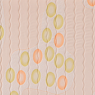 Colchón Viscoelástico | 23cm de altura | Reversible | Antiácaros | SMARTCELL