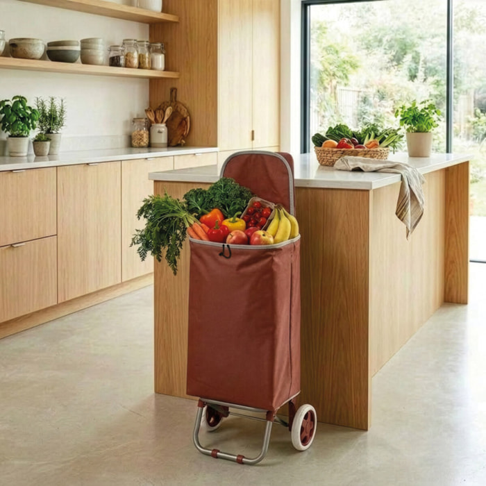 Poussettte de marché, chariot de courses pliable à  2 roulettes 33L Coloris assortis MSV