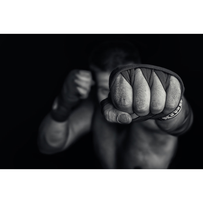 BOXE left wing Tableau alu Dibond