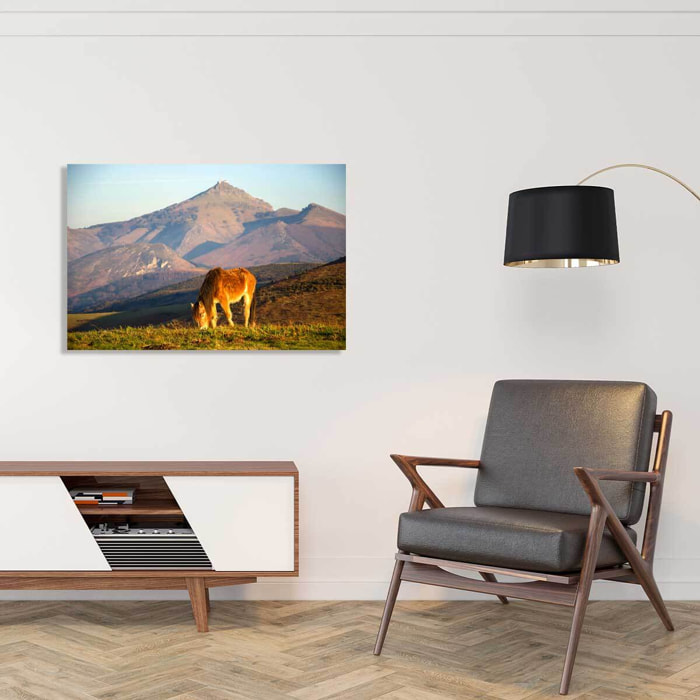 Tableau chevaux pottok  Tableau alu Dibond