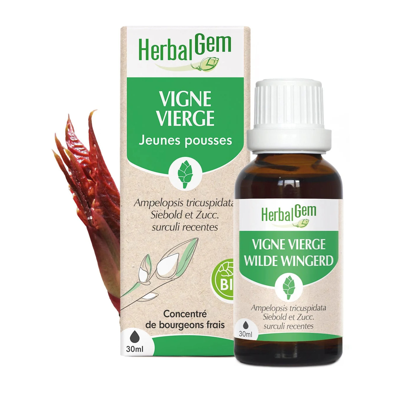 Herbalgem- Bourgeon de Vigne vierge - Bio - 30 ml