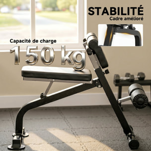 Banc de musculation pliable réglable - banc à abdominaux et lombaires - noir