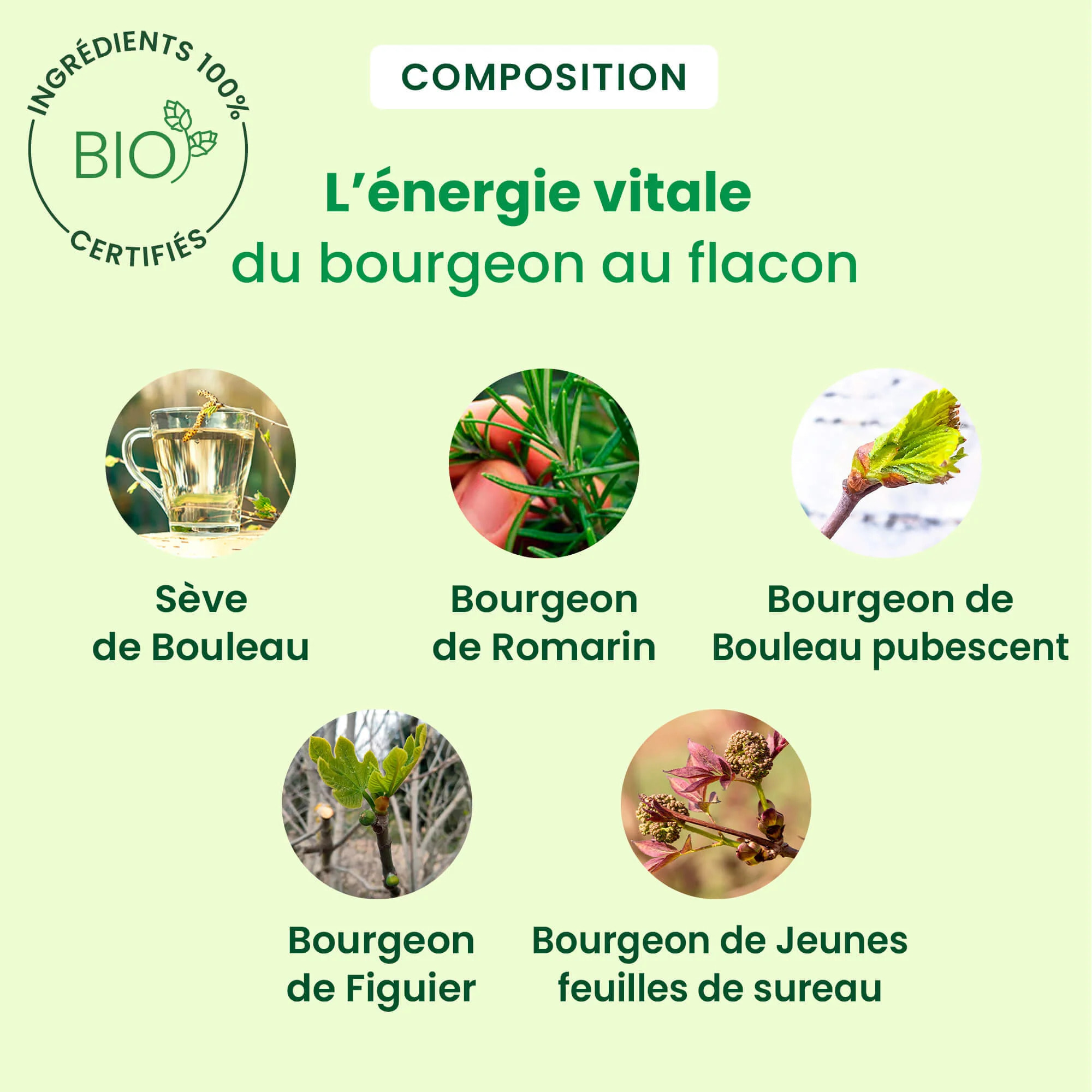 Herbalgem- Sève ligne pour la silhouette - Bio - 250 ml
