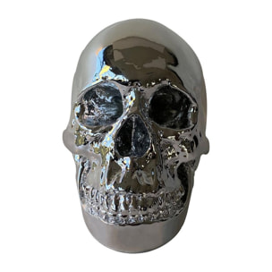 Skull Design Chrome