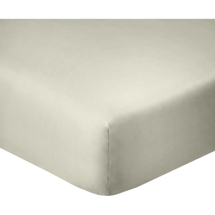 Drap housse coton grège