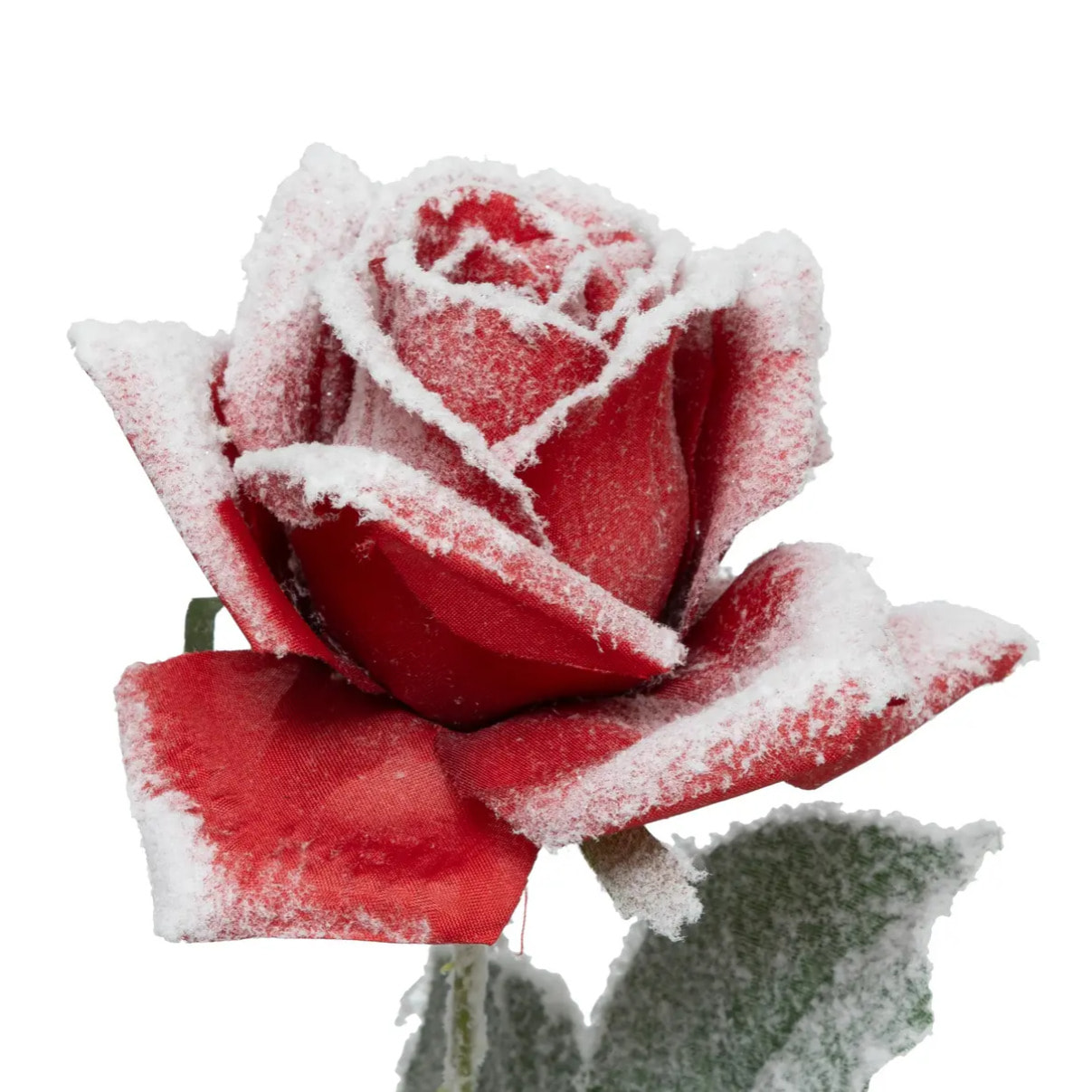 Branche rose rouge enneigée H62