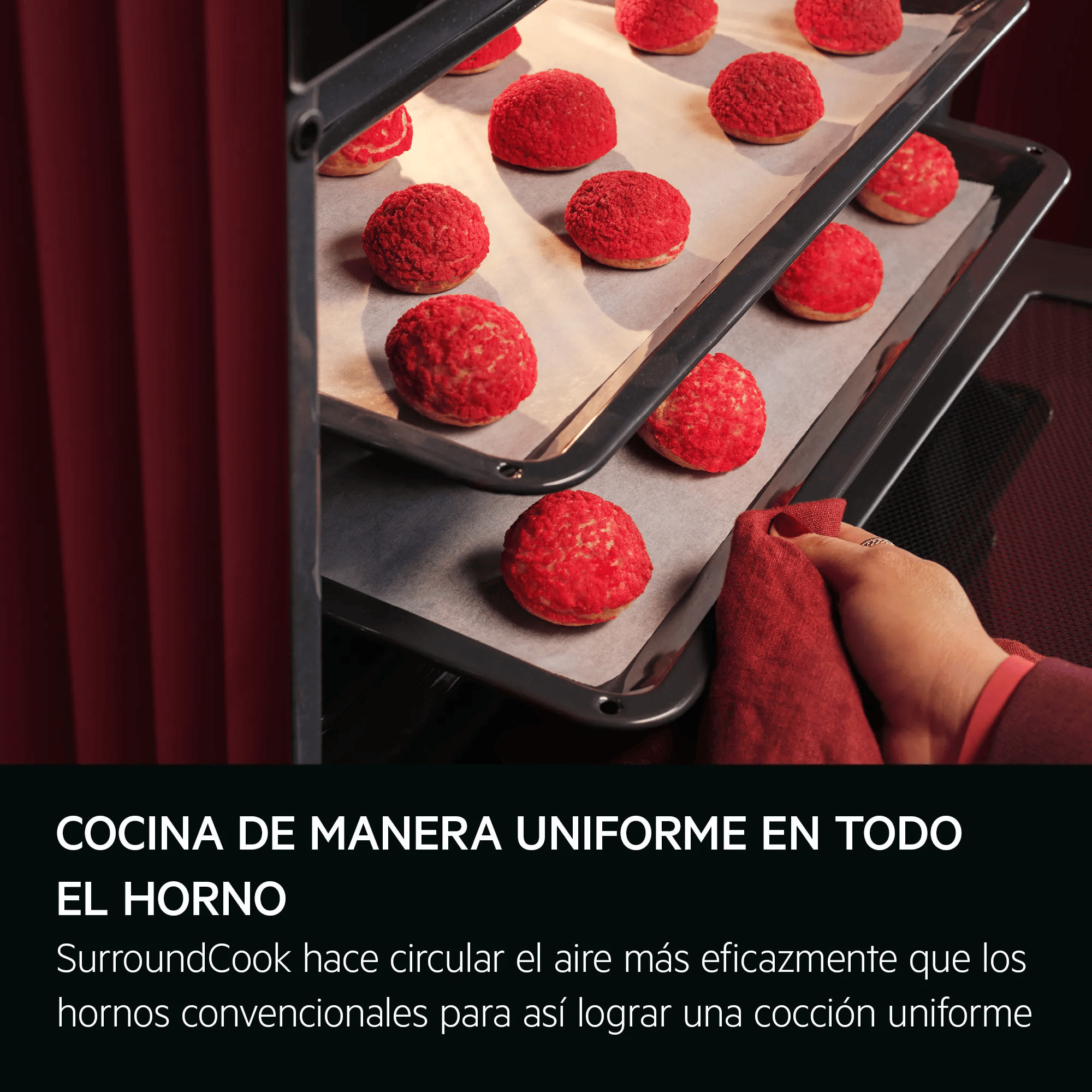 AEG Horno multifunción Serie 5000 SurroundCook con Display LED Explore GU5PB41WSK