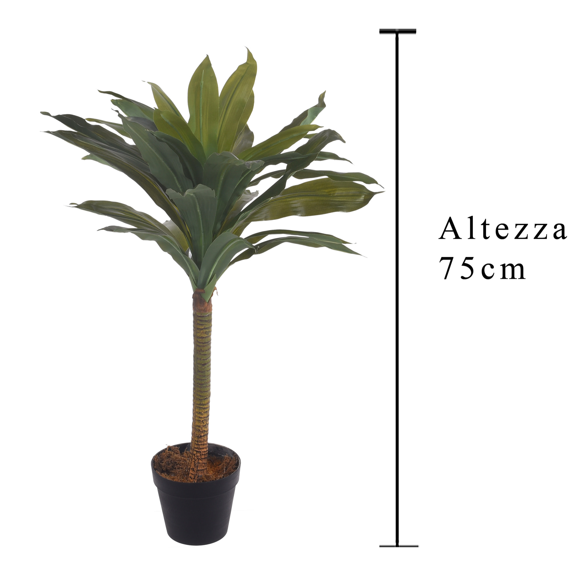 Dracaena In Vaso Con 30 Foglie. Altezza 75 Cm - Pezzi 1 - 45X75X45cm - Colore: Giallo - Bianchi Dino - Piante Artificiali