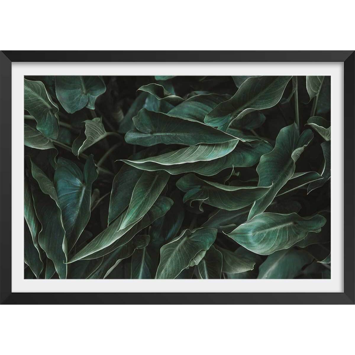 Affiche green leaves Affiche + cadre en bois - Noir