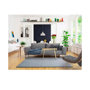 BERNA Alfombra lisa de pelo corto plata, 80x150 cm.