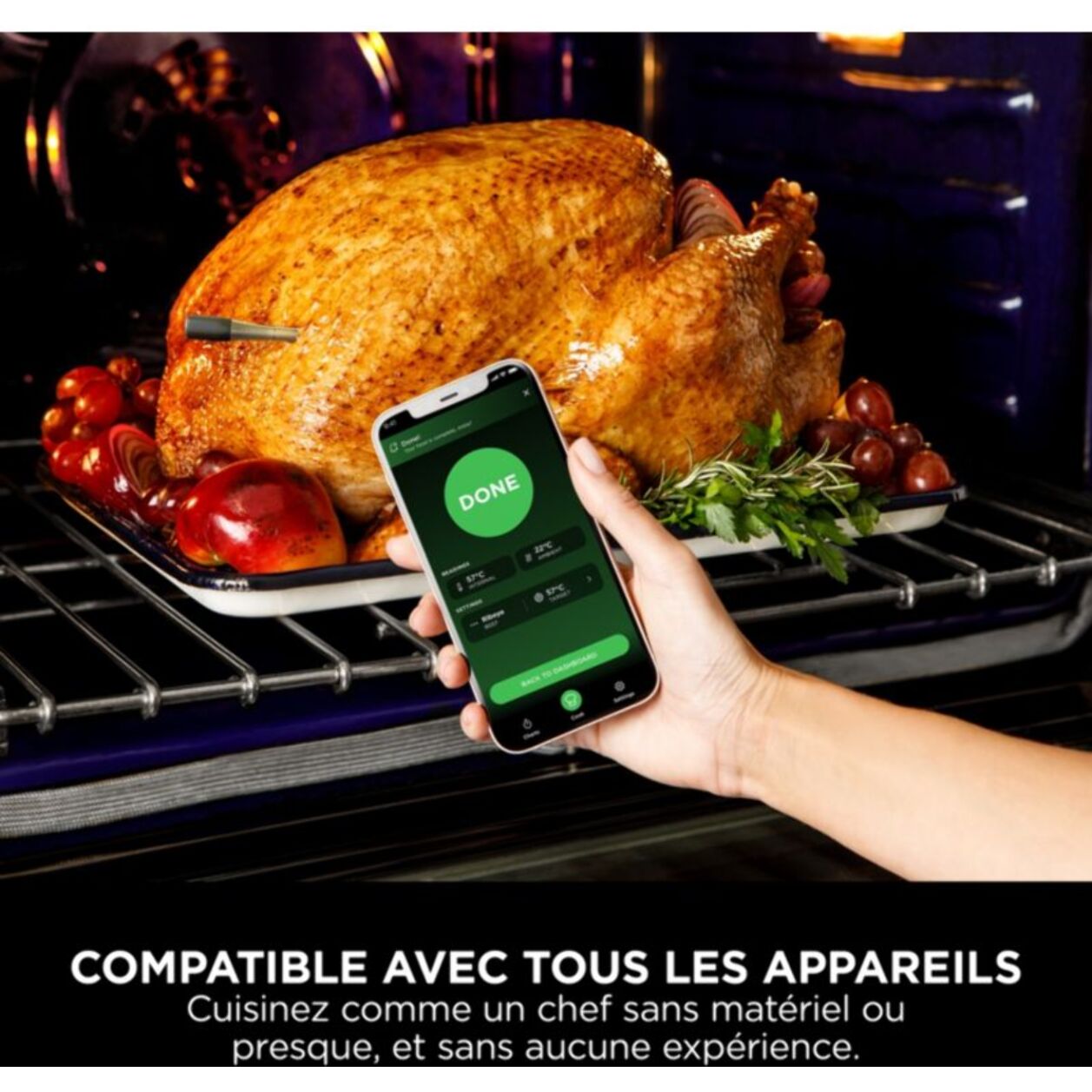 Thermomètre cuisson NINJA ProChef Wireless