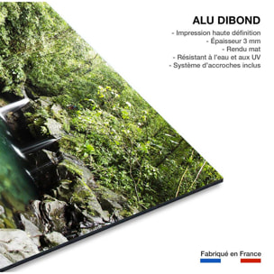 Tableau petit bassin Tableau alu Dibond