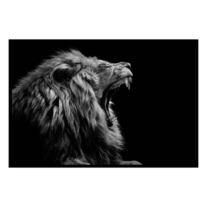 Affiche encadrée lion rugissant en noir et blanc Affiche + cadre en métal - Noir
