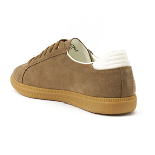 Sneaker British Passport Marrone
