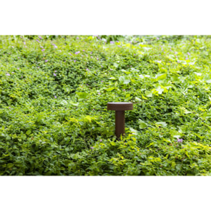 ESPOT 350 Balise rouille