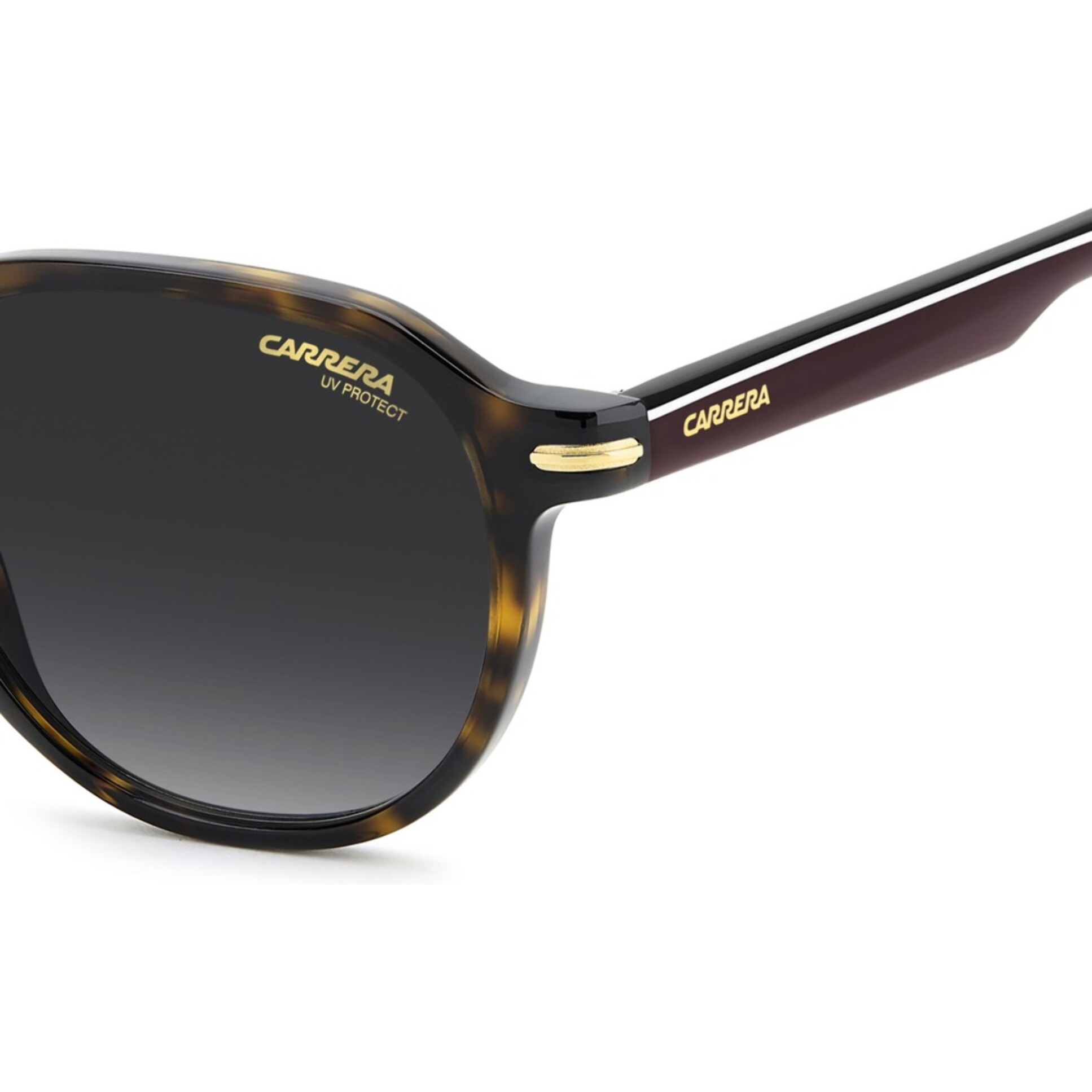 Gafas de Sol Carrera 376/S 086 de Acetato Hombre 50 mm