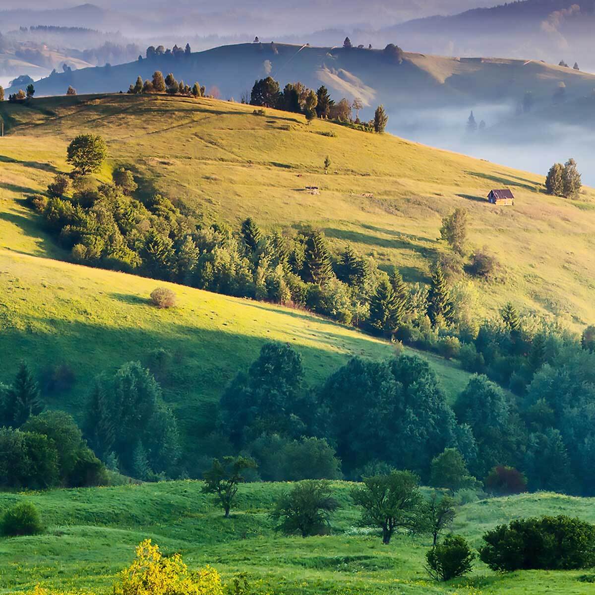 Affiche encadrée paysage champ au coucher du soleil Affiche + cadre en métal - Noir