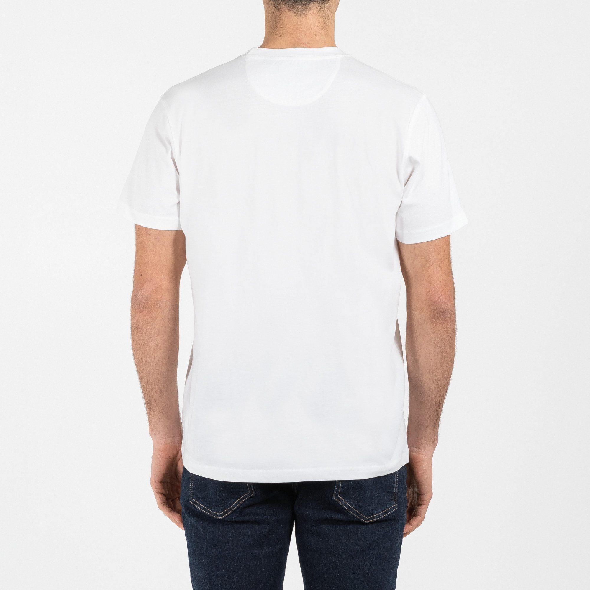 T-shirt jersey di cotone bio washed regular fit