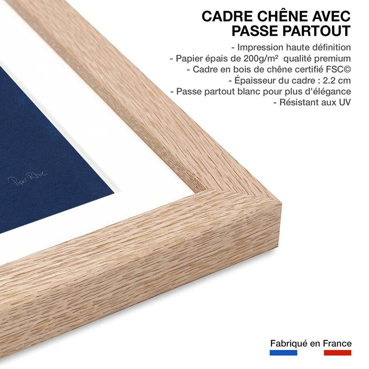 Affiche Fougère d'argent Affiche + cadre en bois - Chêne