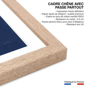 Affiche Fougère d'argent Affiche + cadre en bois - Chêne